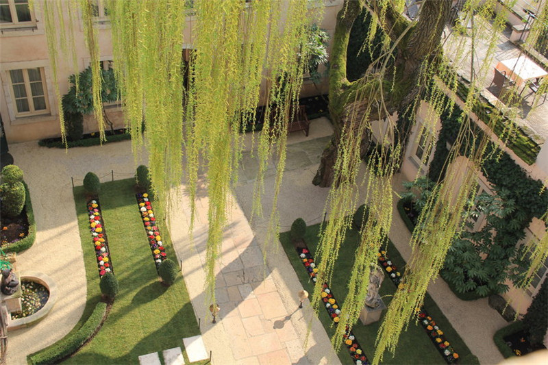 酒店庭院 酒店庭院