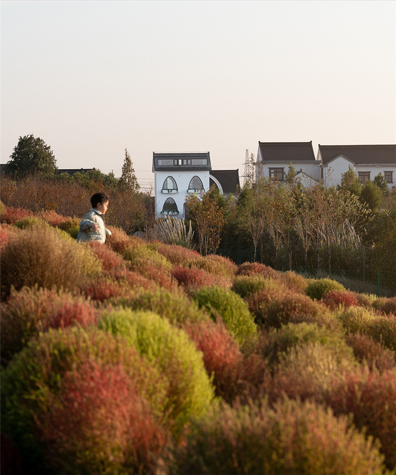 上海待涇村花海民宿外觀改造設(shè)計(jì)案例
