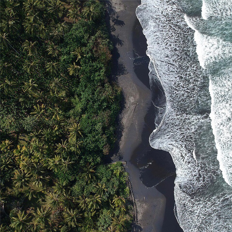熱帶雨林加木屋 Lost Lindenberg度假酒店民宿設(shè)計 熱帶雨林加木屋 Lost Lindenberg度假酒店民宿設(shè)計